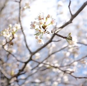 Meet your Posher, Kyungho